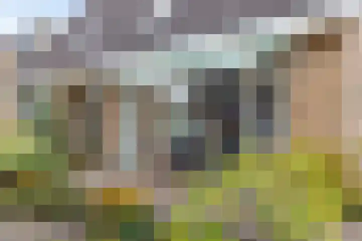 Age Hylkes Trompstrjitte 15 Woudsend thumbnail 41