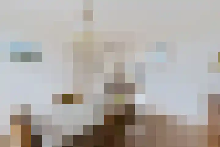 Age Hylkes Trompstrjitte 15 Woudsend thumbnail 7