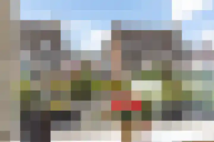 Age Hylkes Trompstrjitte 15 Woudsend thumbnail 8