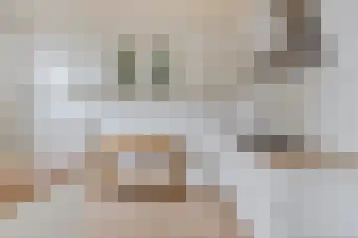Age Hylkes Trompstrjitte 15 Woudsend thumbnail 9