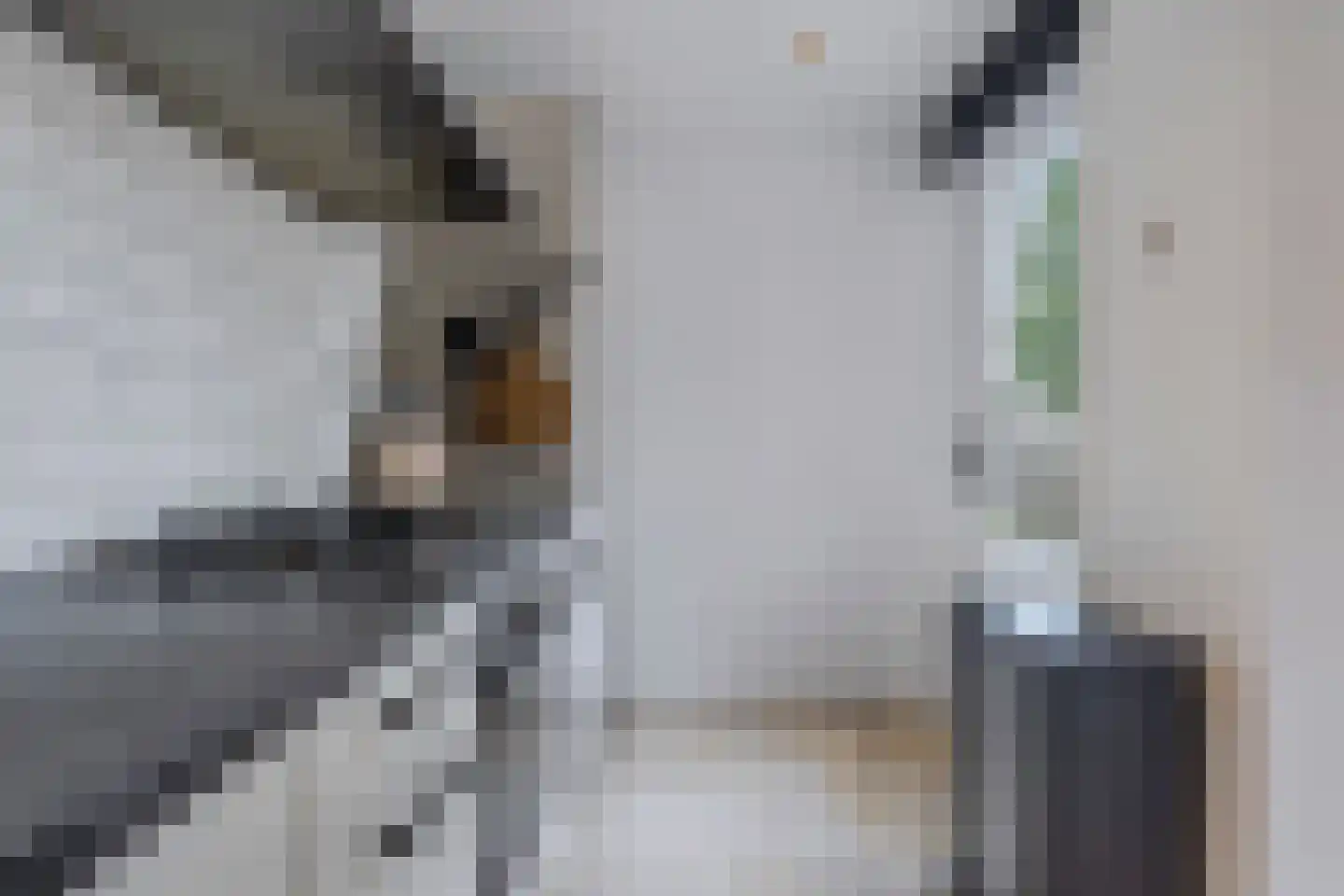 Age Piersstraat 15 Sneek thumbnail 17