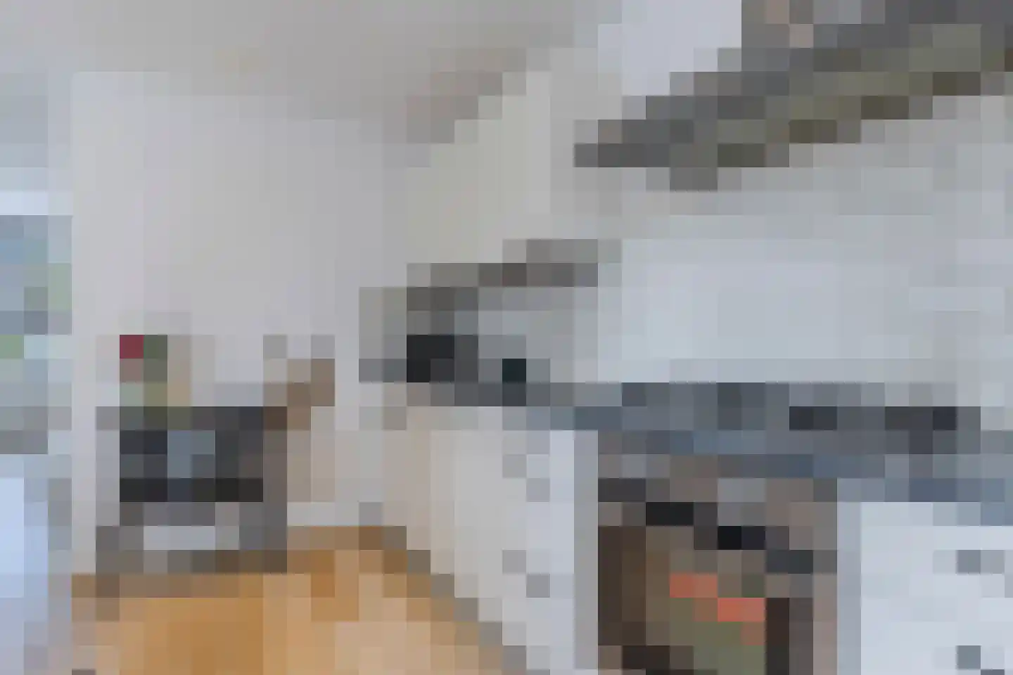 Age Piersstraat 15 Sneek thumbnail 18