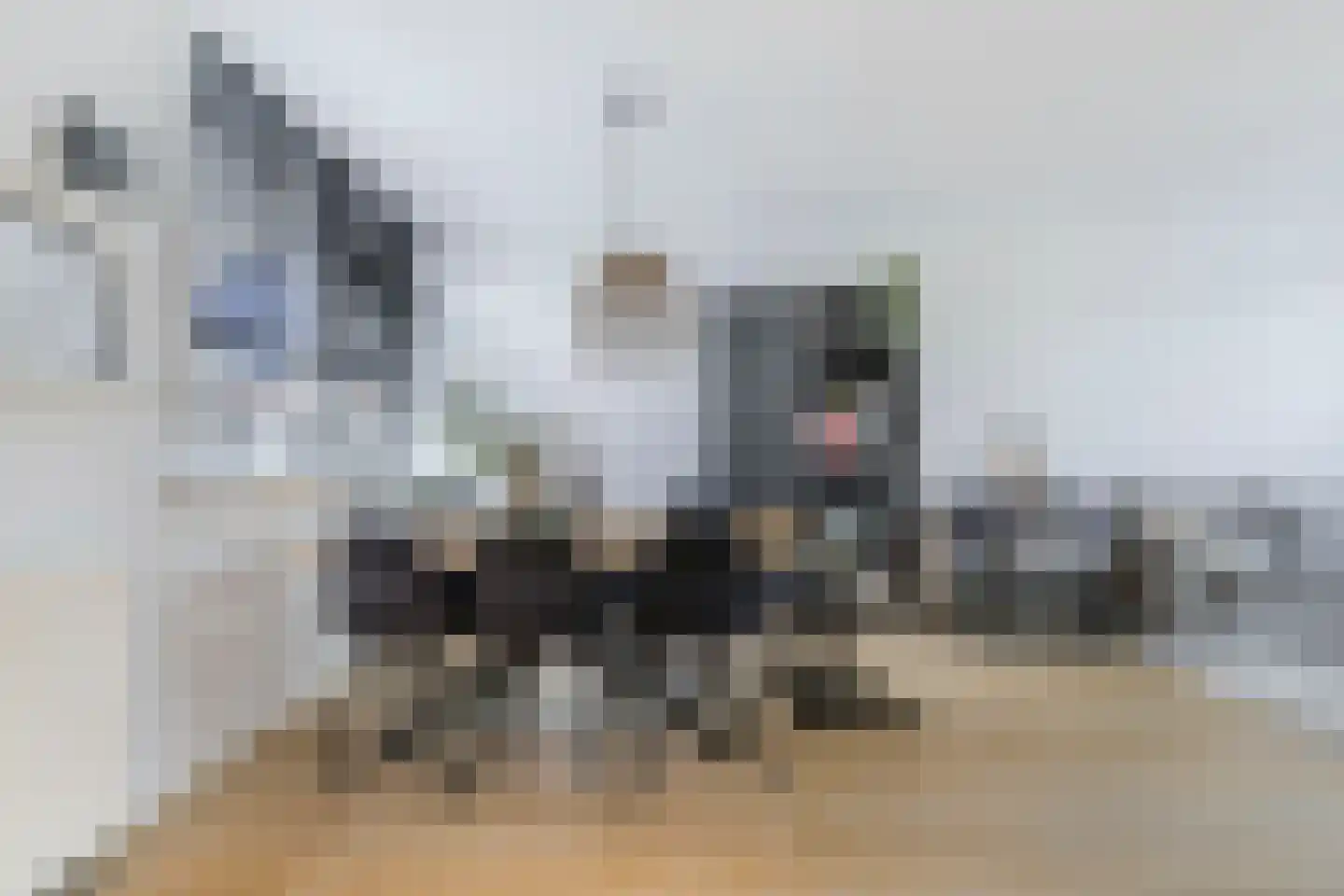 Age Piersstraat 15 Sneek thumbnail 20