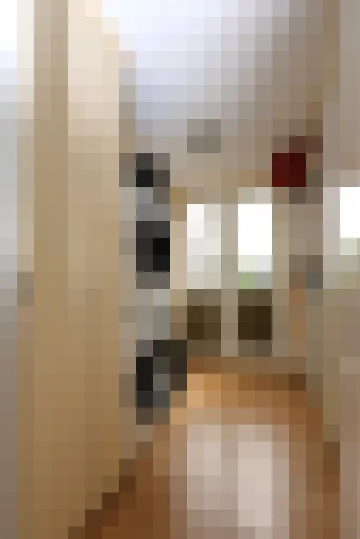Age Piersstraat 29 Sneek thumbnail 19