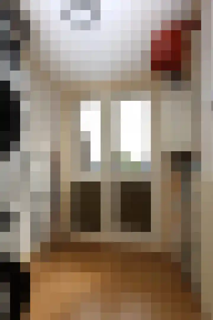 Age Piersstraat 29 Sneek thumbnail 20