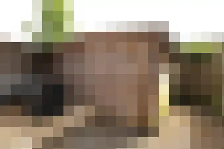 Age Piersstraat 29 Sneek thumbnail 4