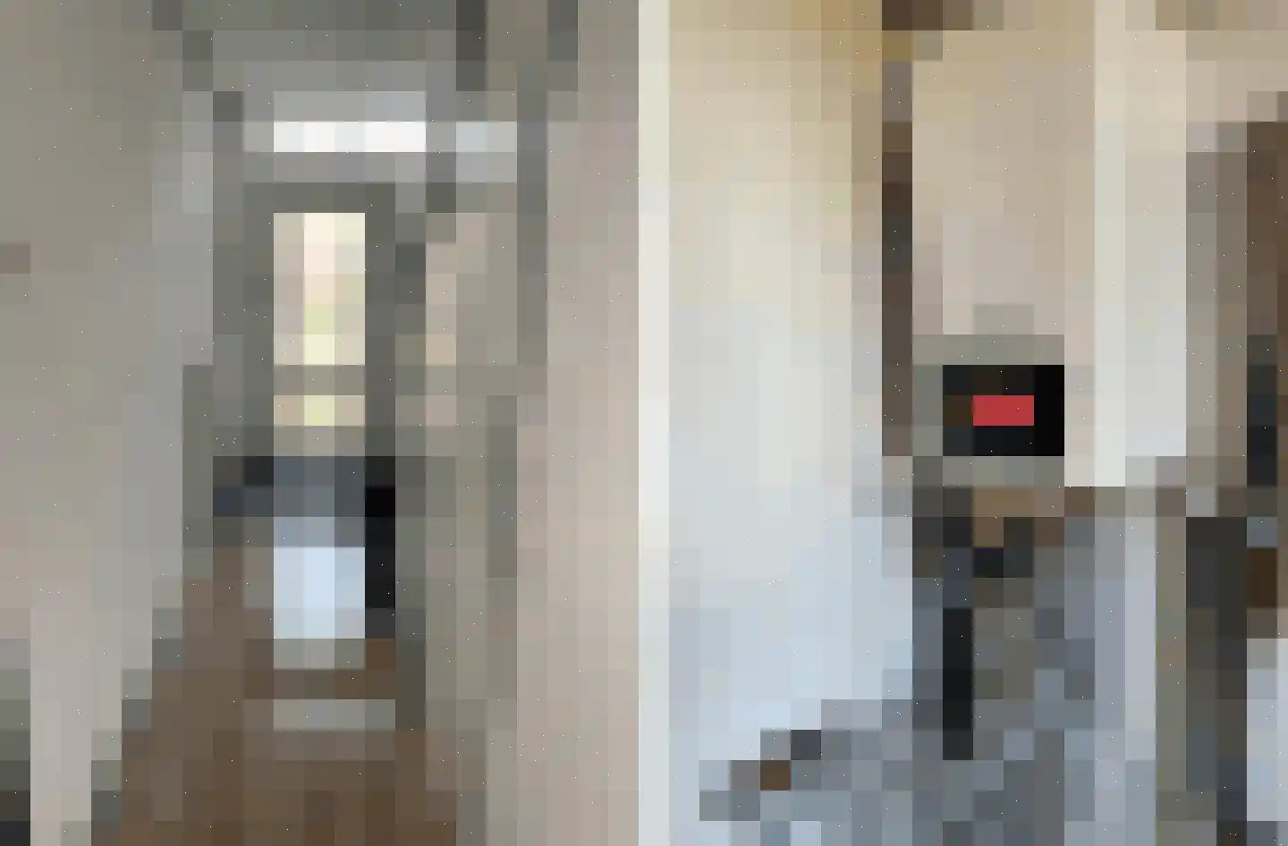 Age Piersstraat 33 Sneek thumbnail 4