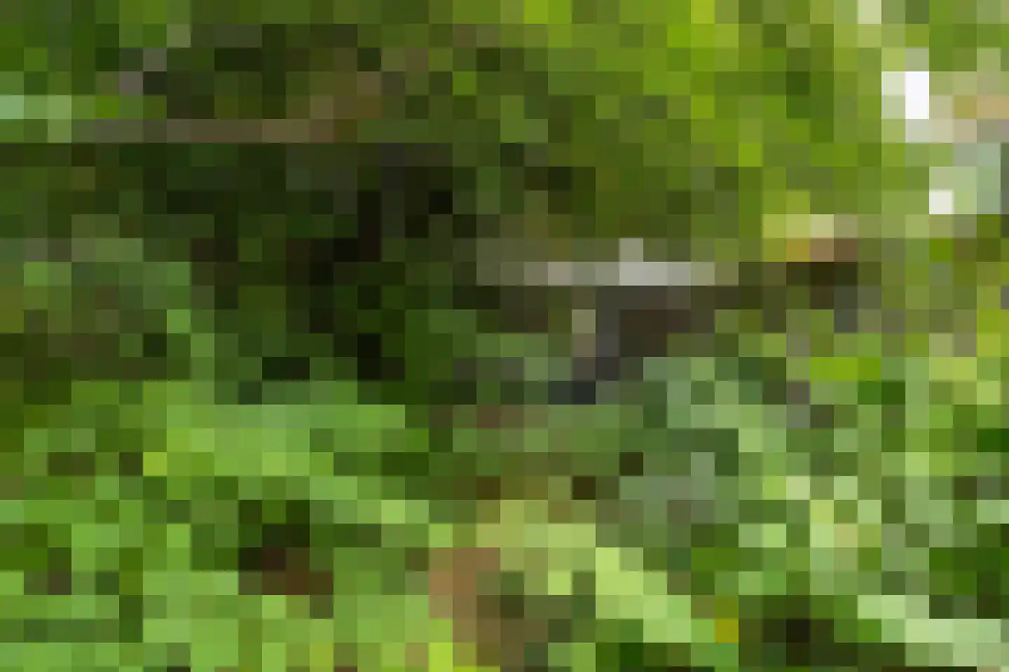 Agelobrink 28 Enschede thumbnail 4