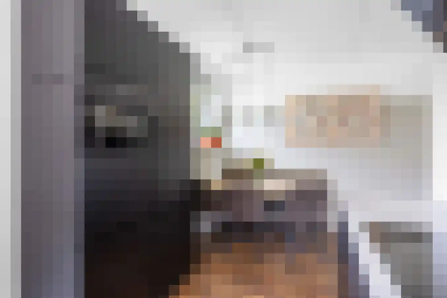 Agenastraat 11 Zuidhorn thumbnail 19