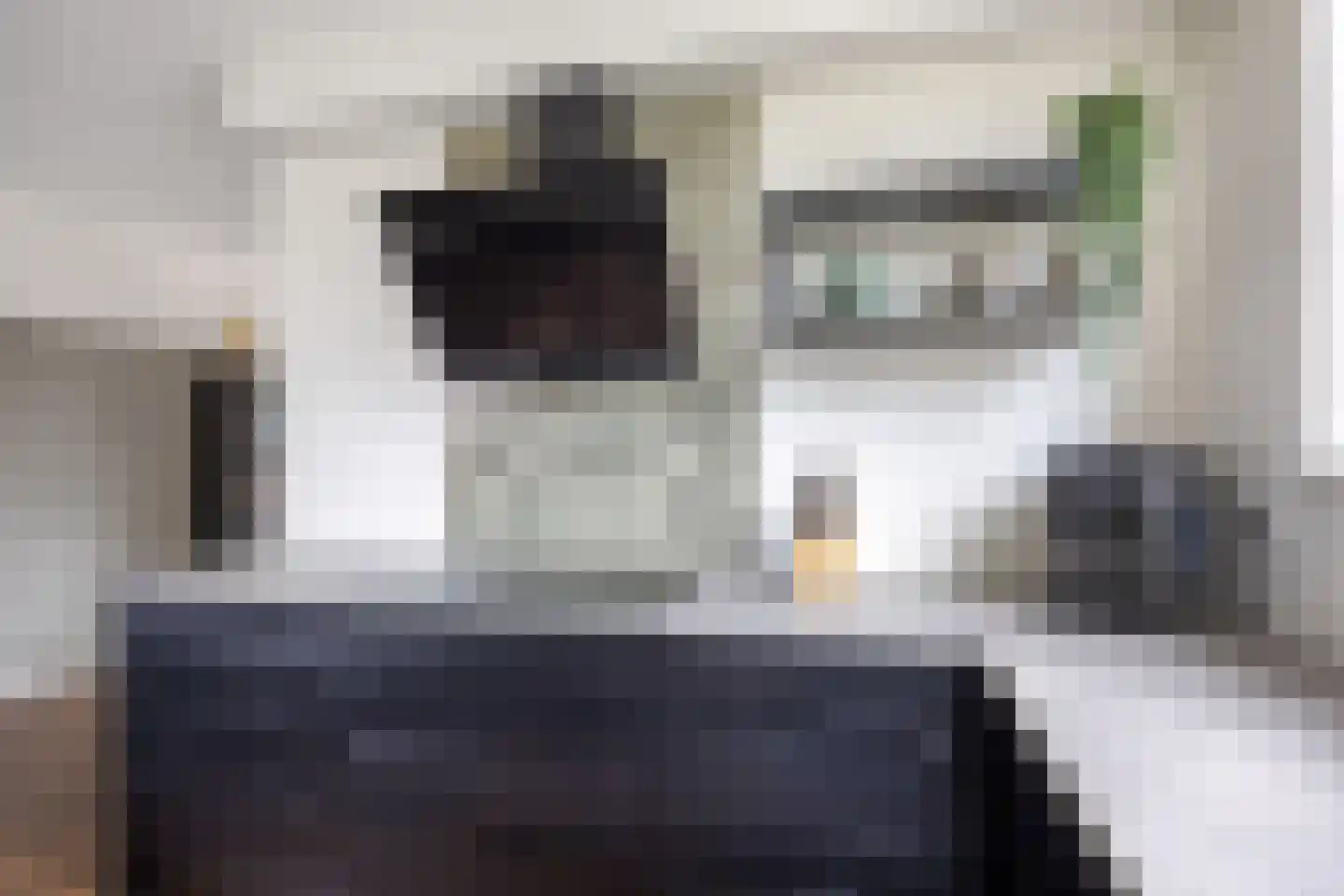 Agenastraat 11 Zuidhorn thumbnail 20