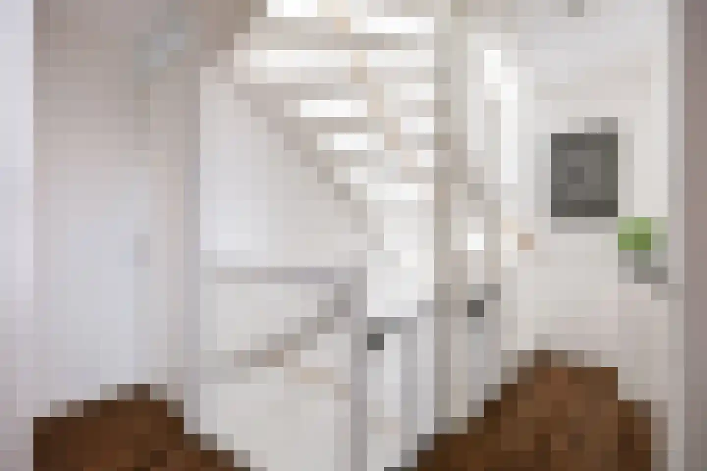 Agenastraat 11 Zuidhorn thumbnail 21