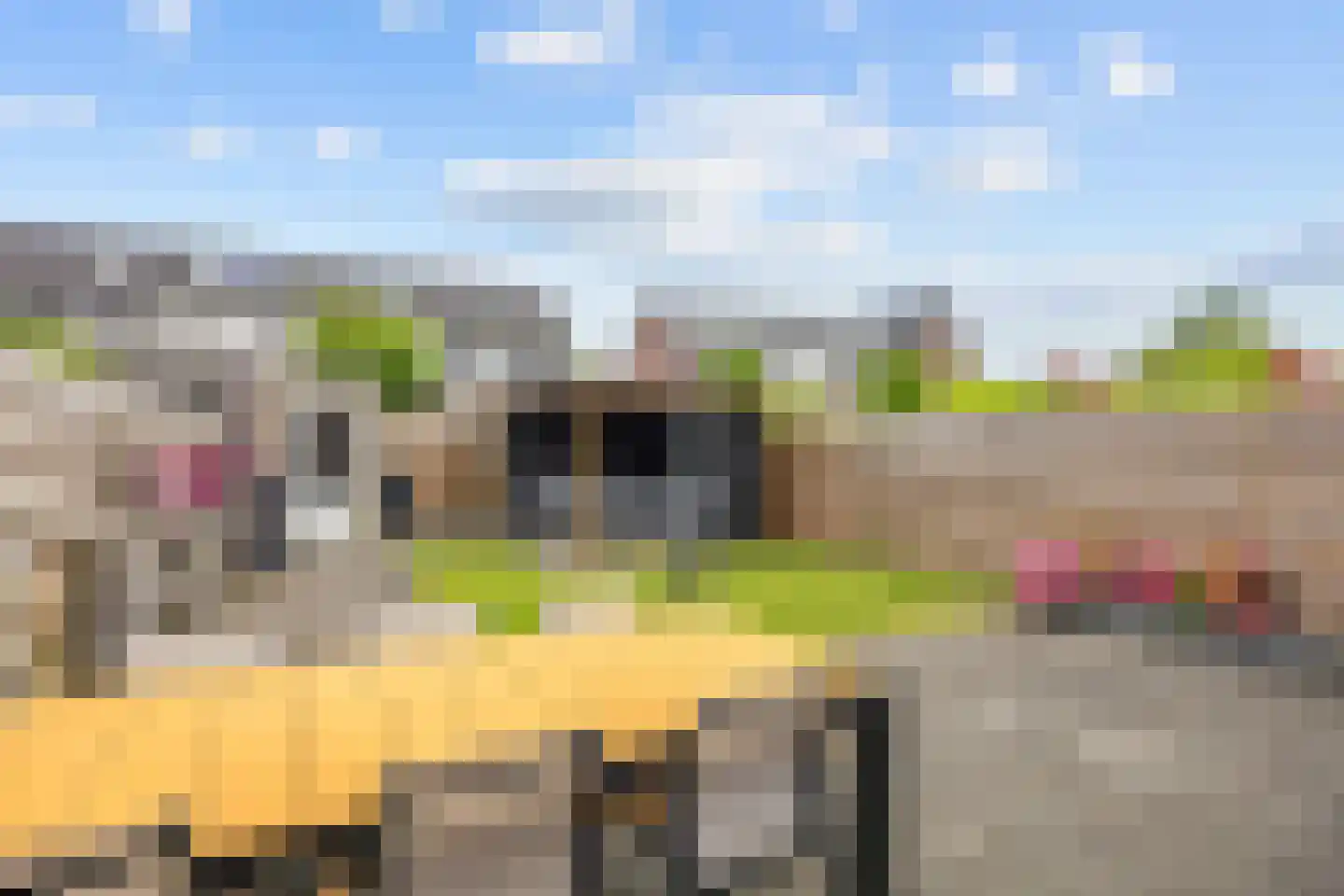 Agenastraat 11 Zuidhorn thumbnail 32