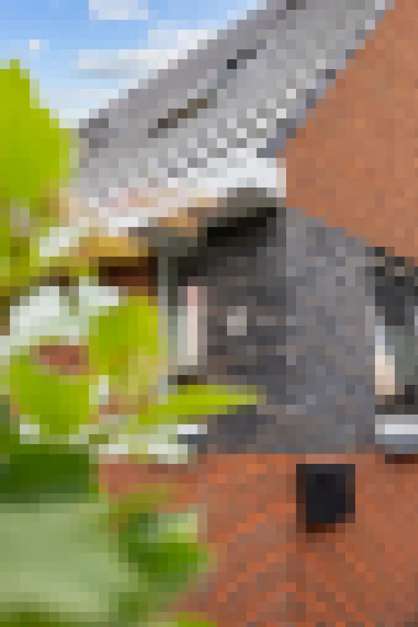 Agenastraat 11 Zuidhorn thumbnail 7