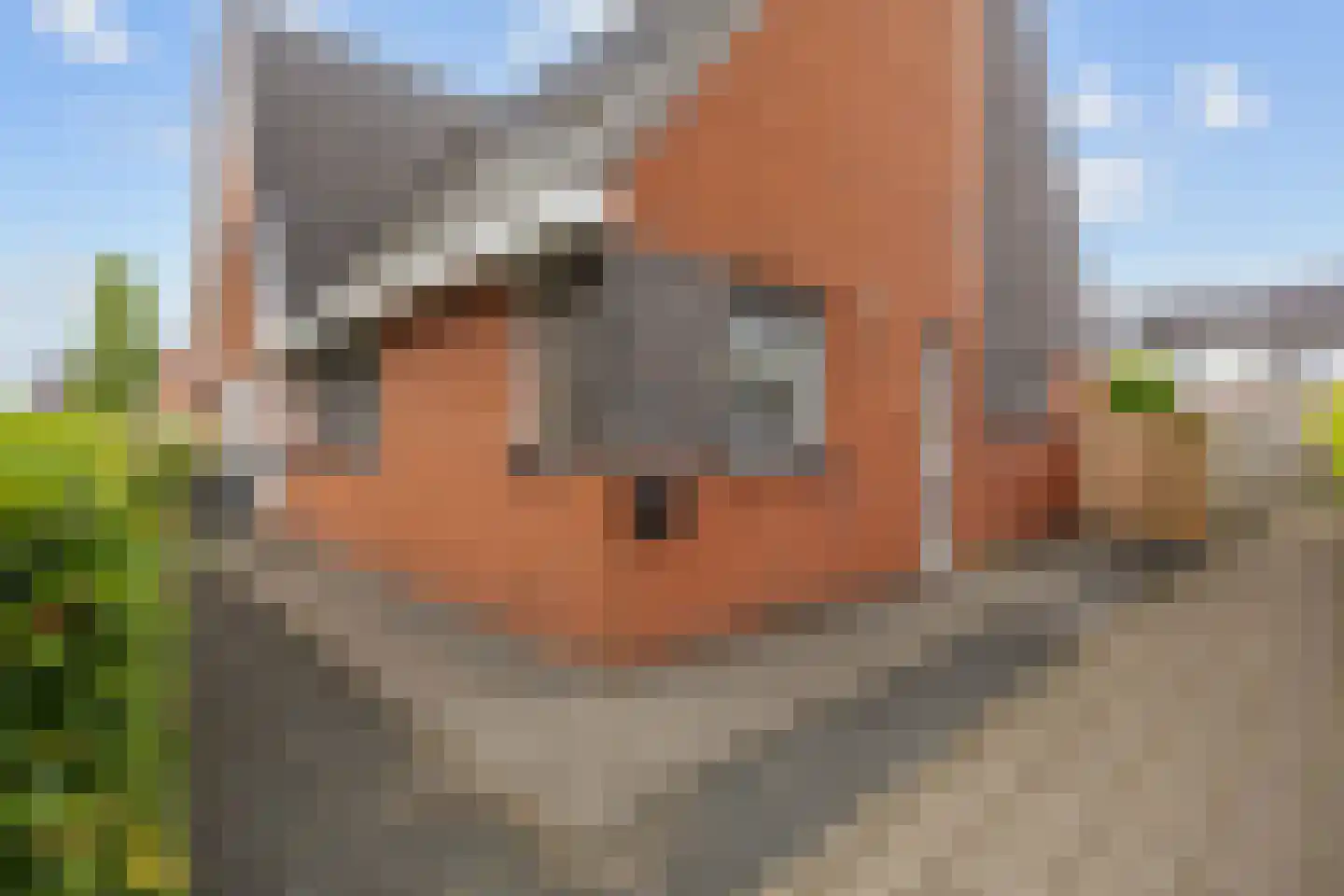 Agenastraat 11 Zuidhorn thumbnail 8