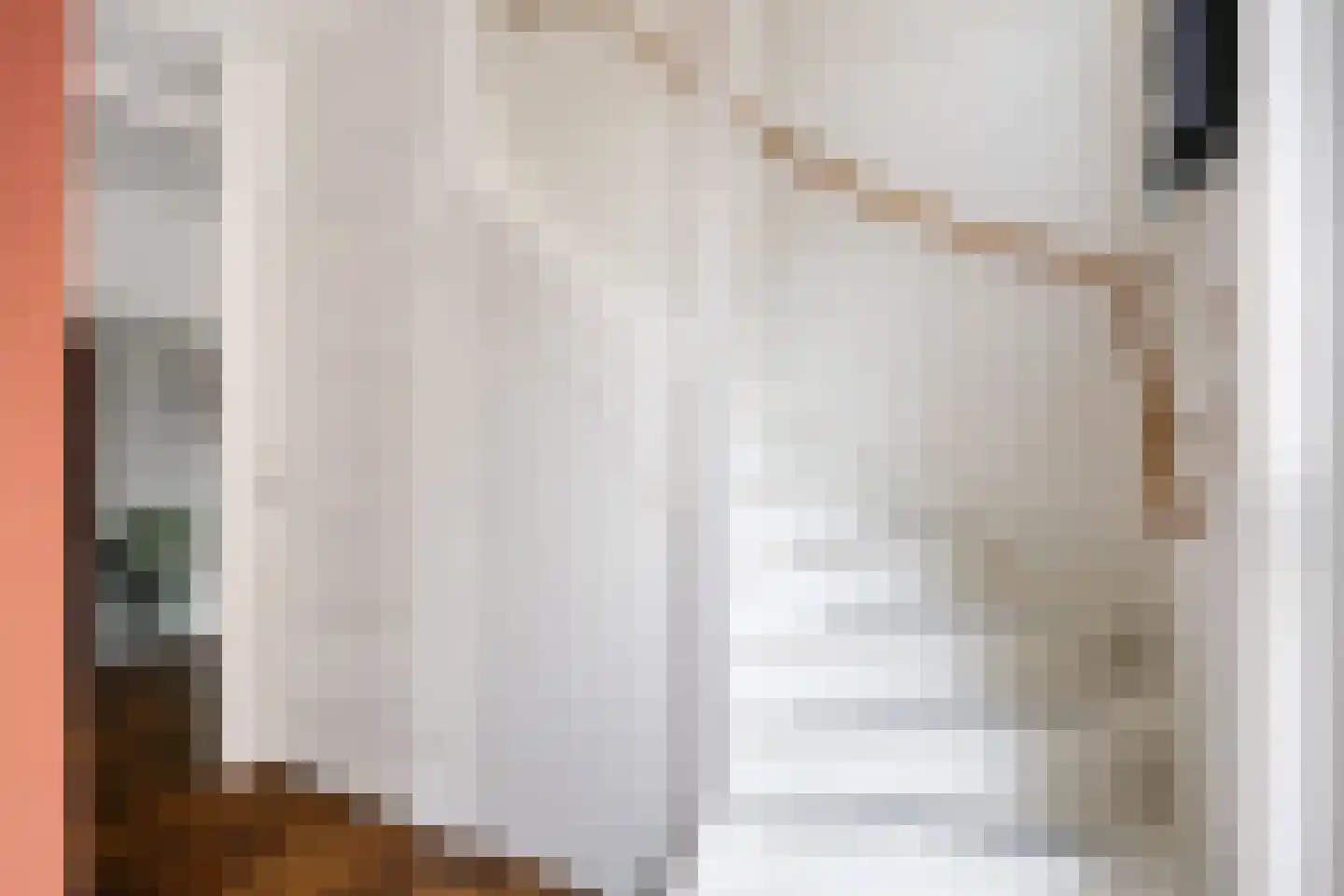 Agenastraat 11 Zuidhorn thumbnail 9