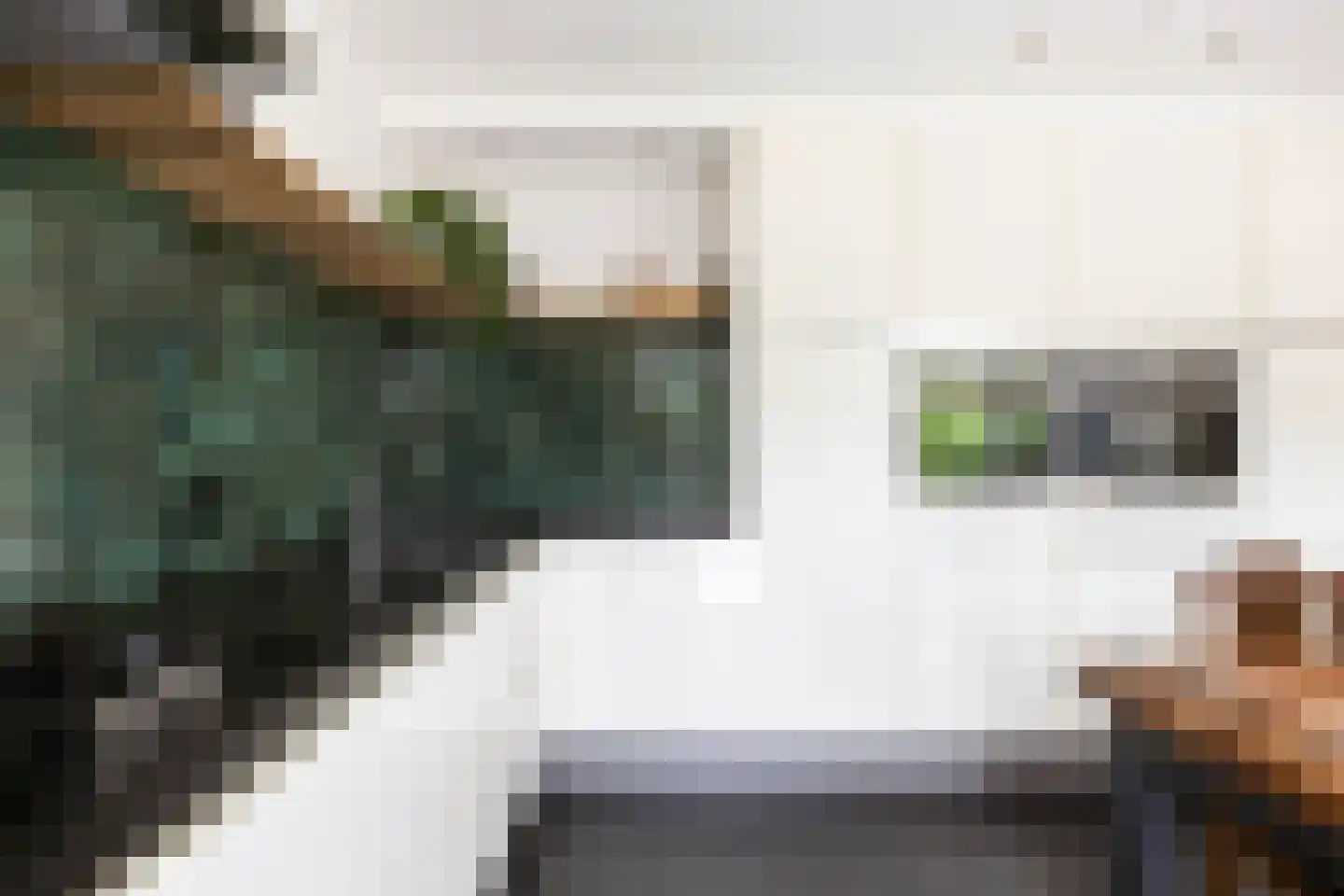 Agenastraat 18 Zuidhorn thumbnail 18