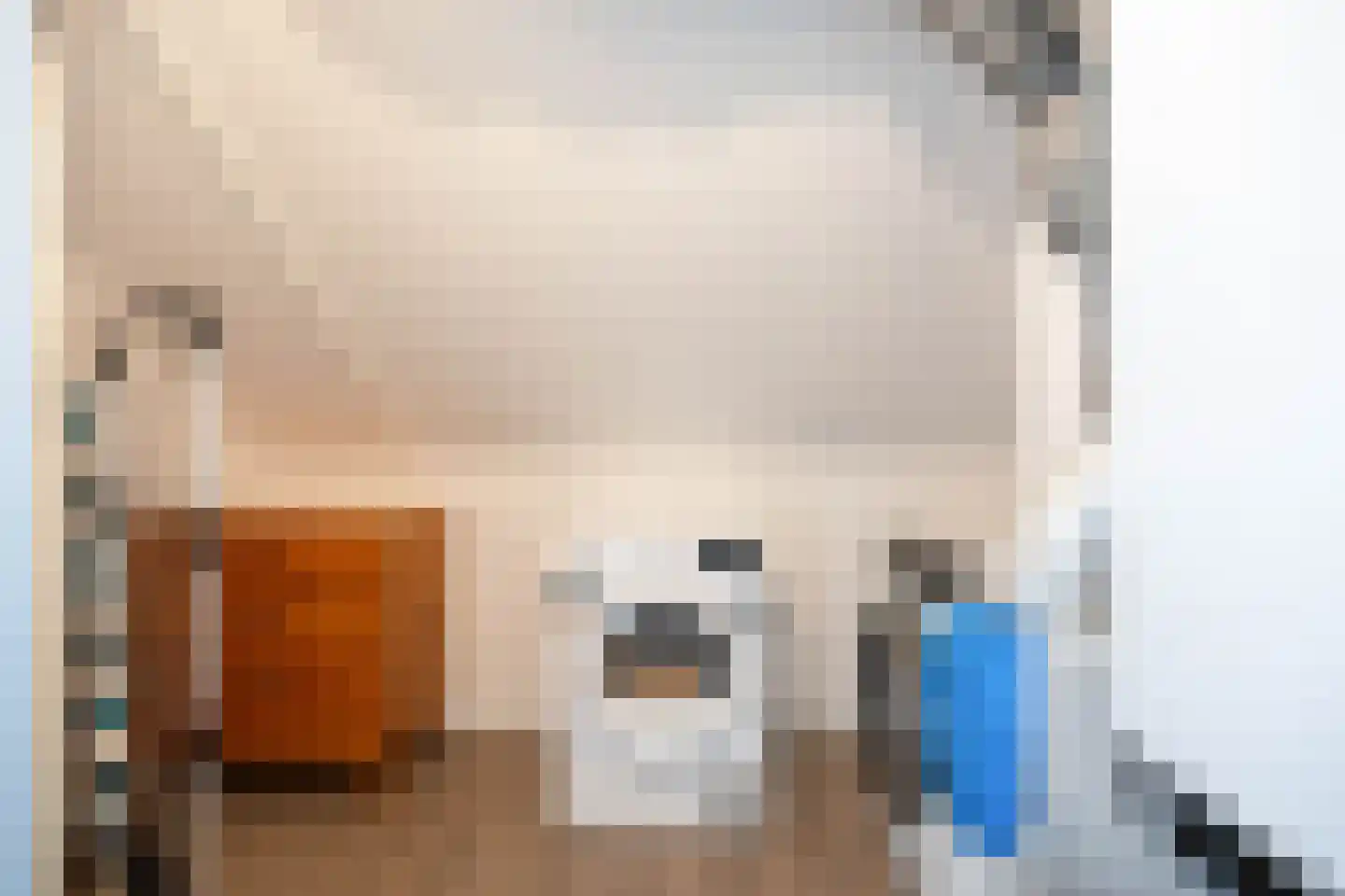 Agenastraat 18 Zuidhorn thumbnail 31