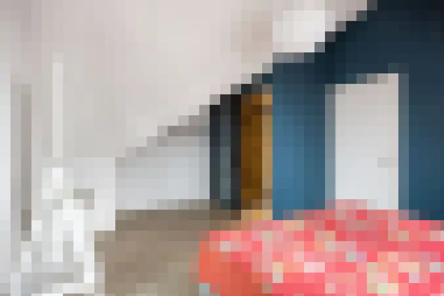 Agenastraat 18 Zuidhorn thumbnail 35