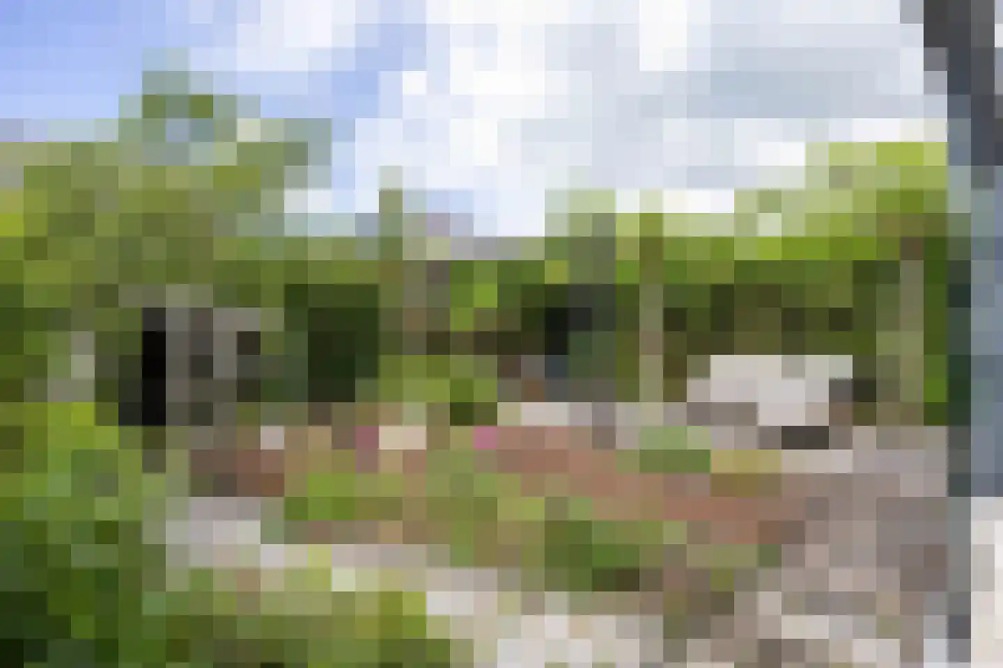 Agenastraat 18 Zuidhorn thumbnail 42