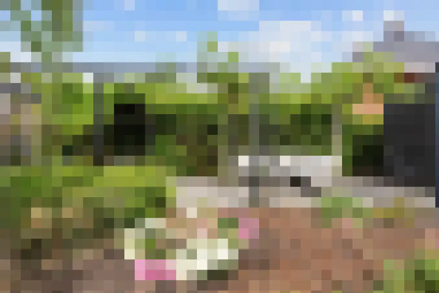 Agenastraat 18 Zuidhorn thumbnail 43