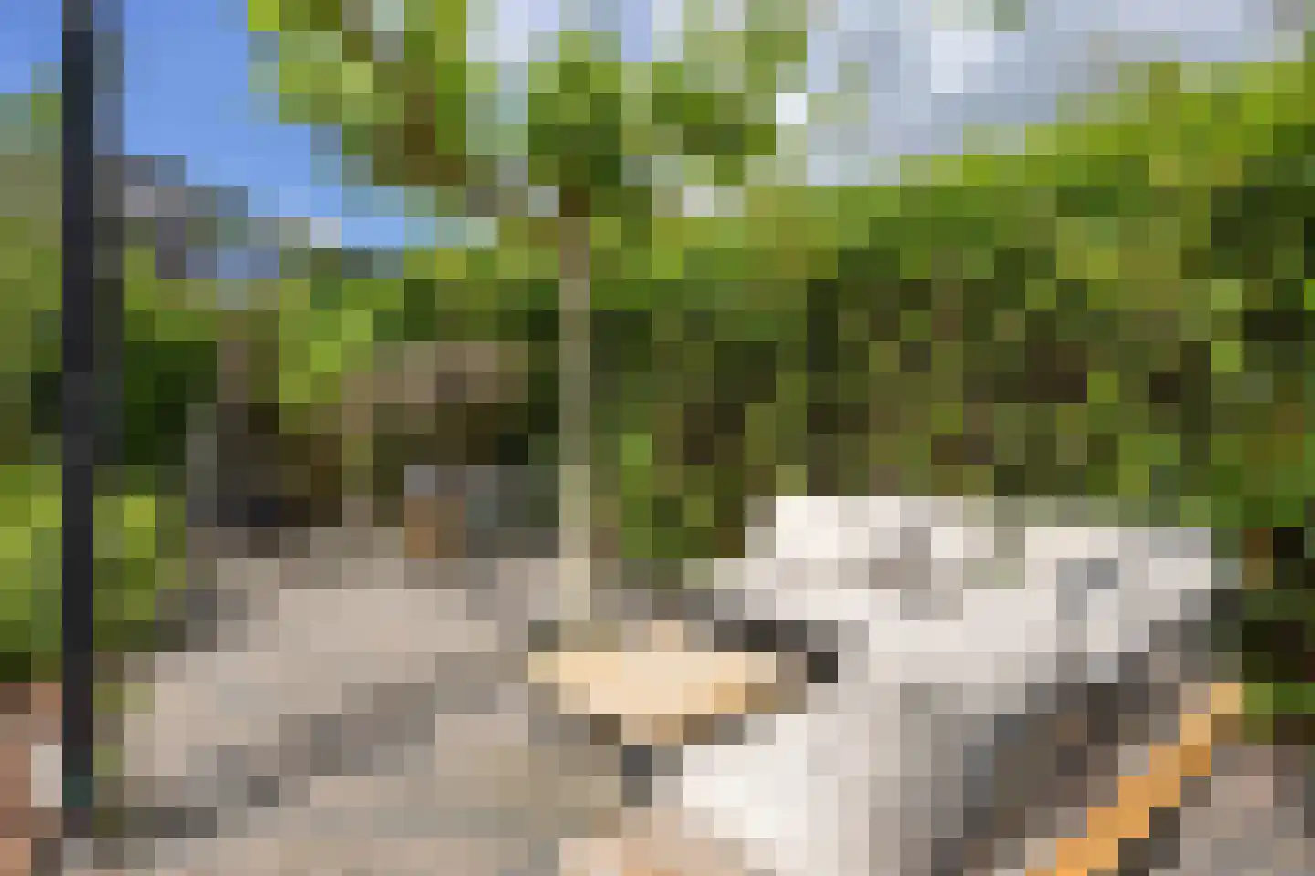 Agenastraat 18 Zuidhorn thumbnail 45
