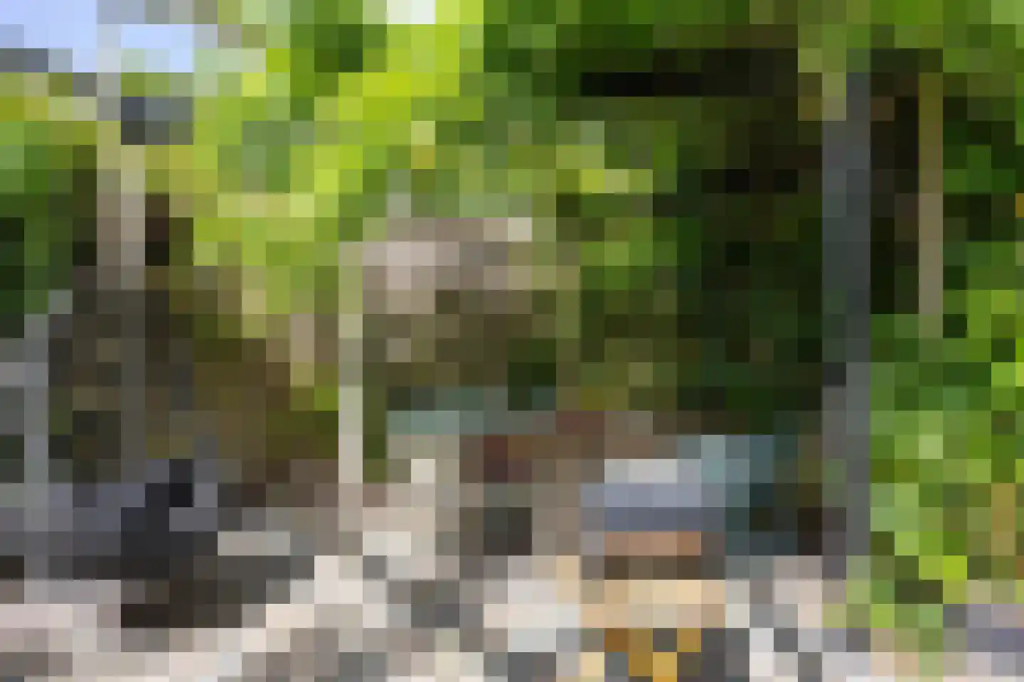 Agenastraat 18 Zuidhorn thumbnail 46
