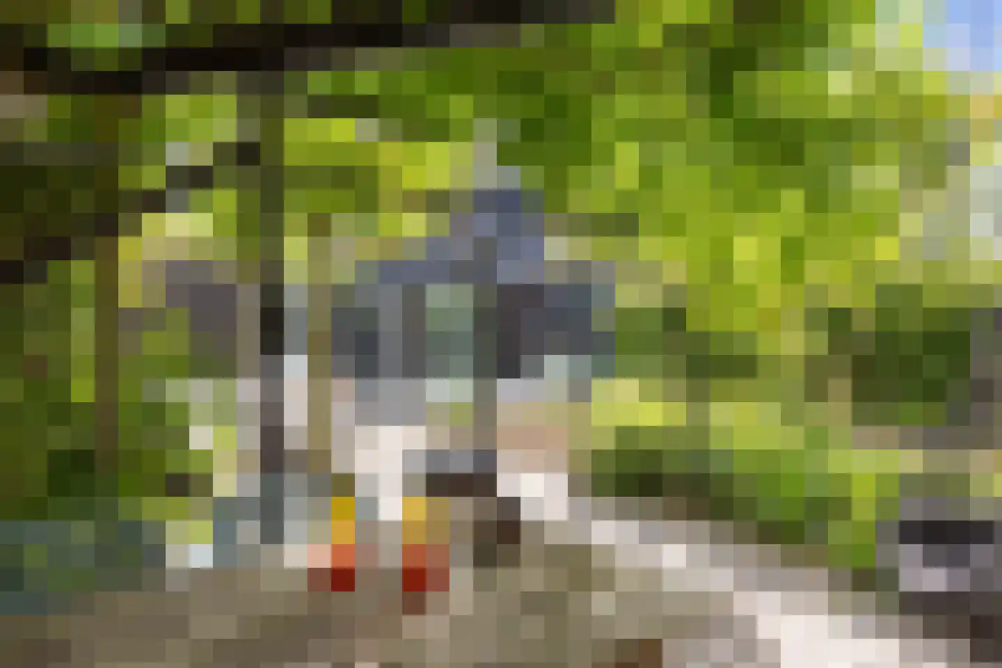 Agenastraat 18 Zuidhorn thumbnail 47