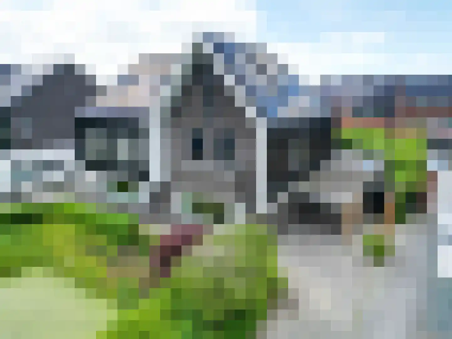 Agenastraat 18 Zuidhorn thumbnail 48