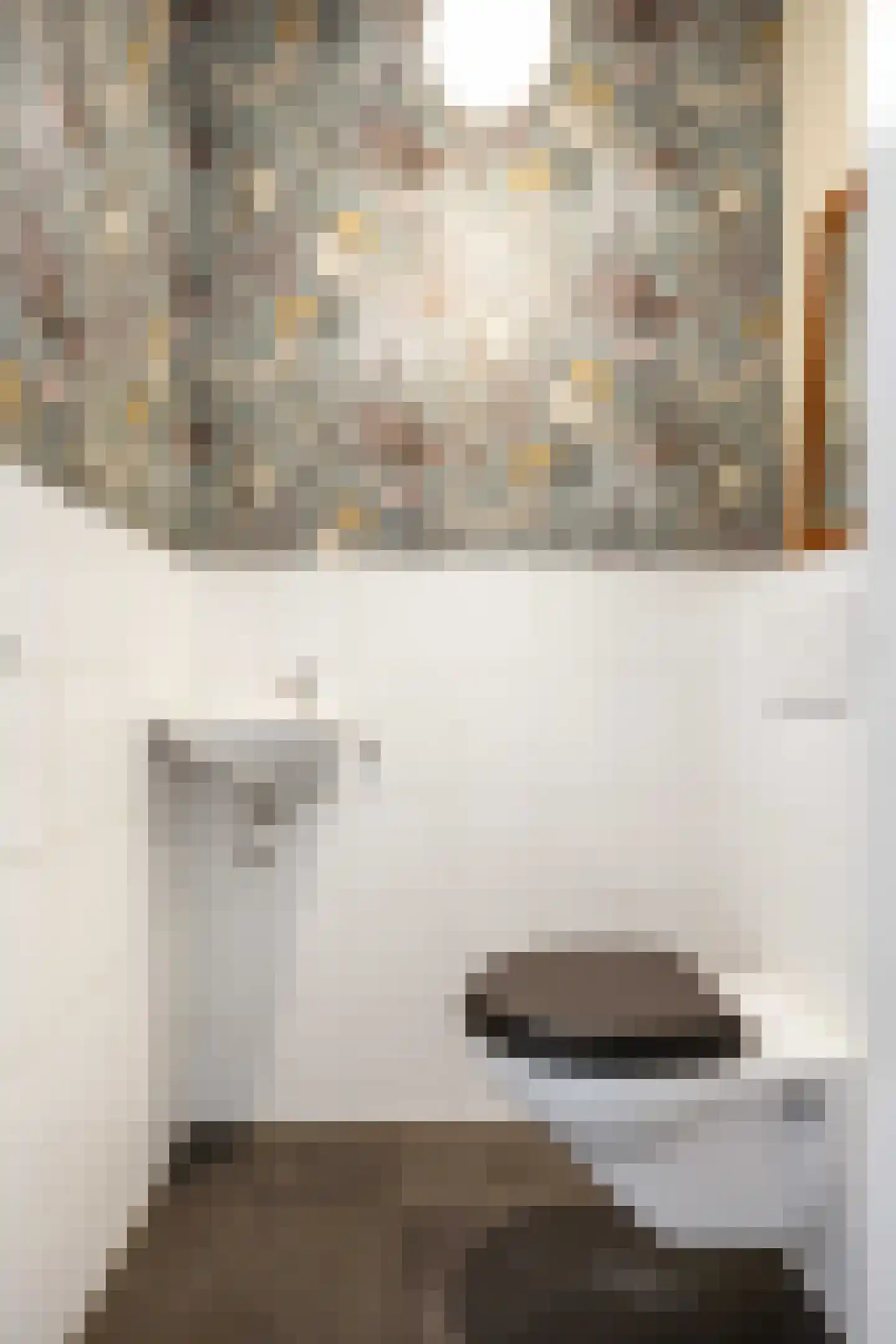 Agenastraat 18 Zuidhorn thumbnail 8