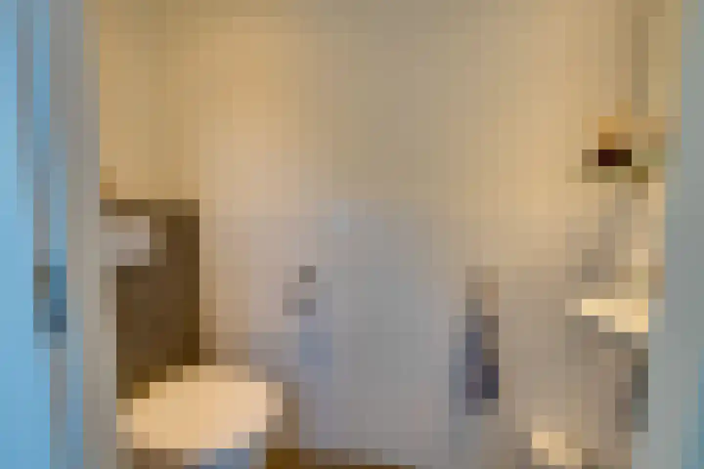 Aggelenstraat 12 De Rijp thumbnail 24