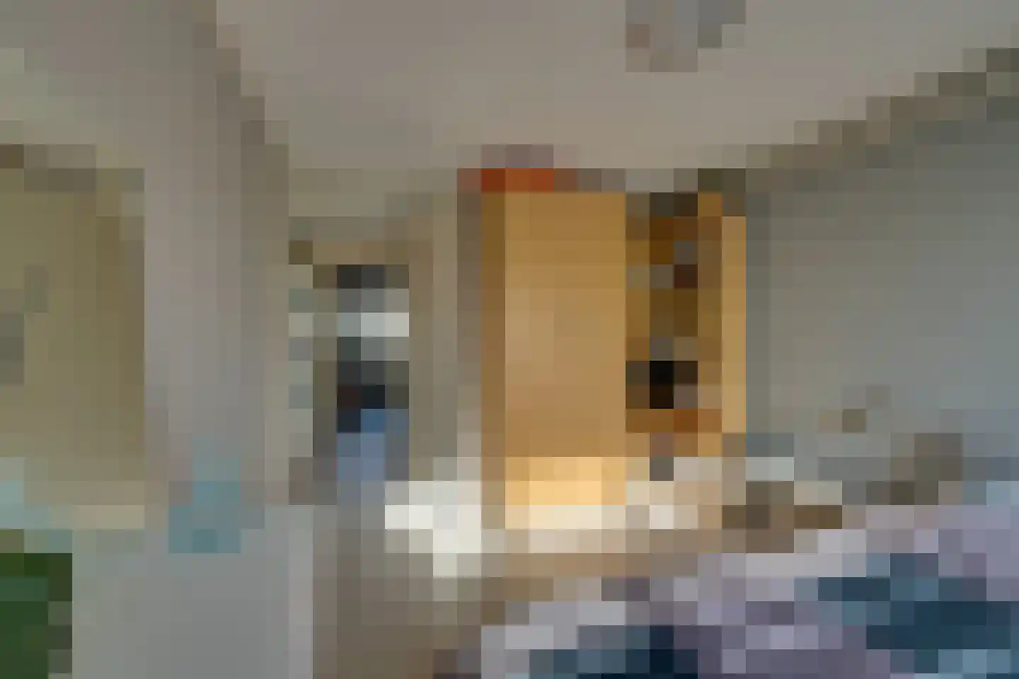 Aggelenstraat 12 De Rijp thumbnail 31