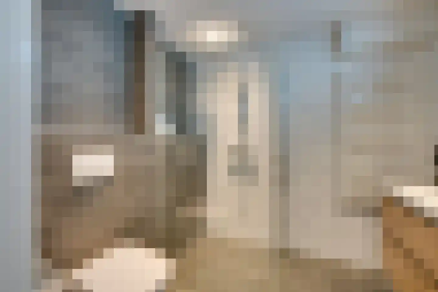 Aggelenstraat 12 De Rijp thumbnail 34