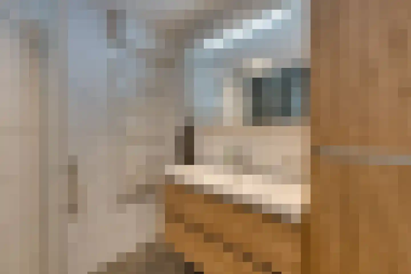 Aggelenstraat 12 De Rijp thumbnail 35
