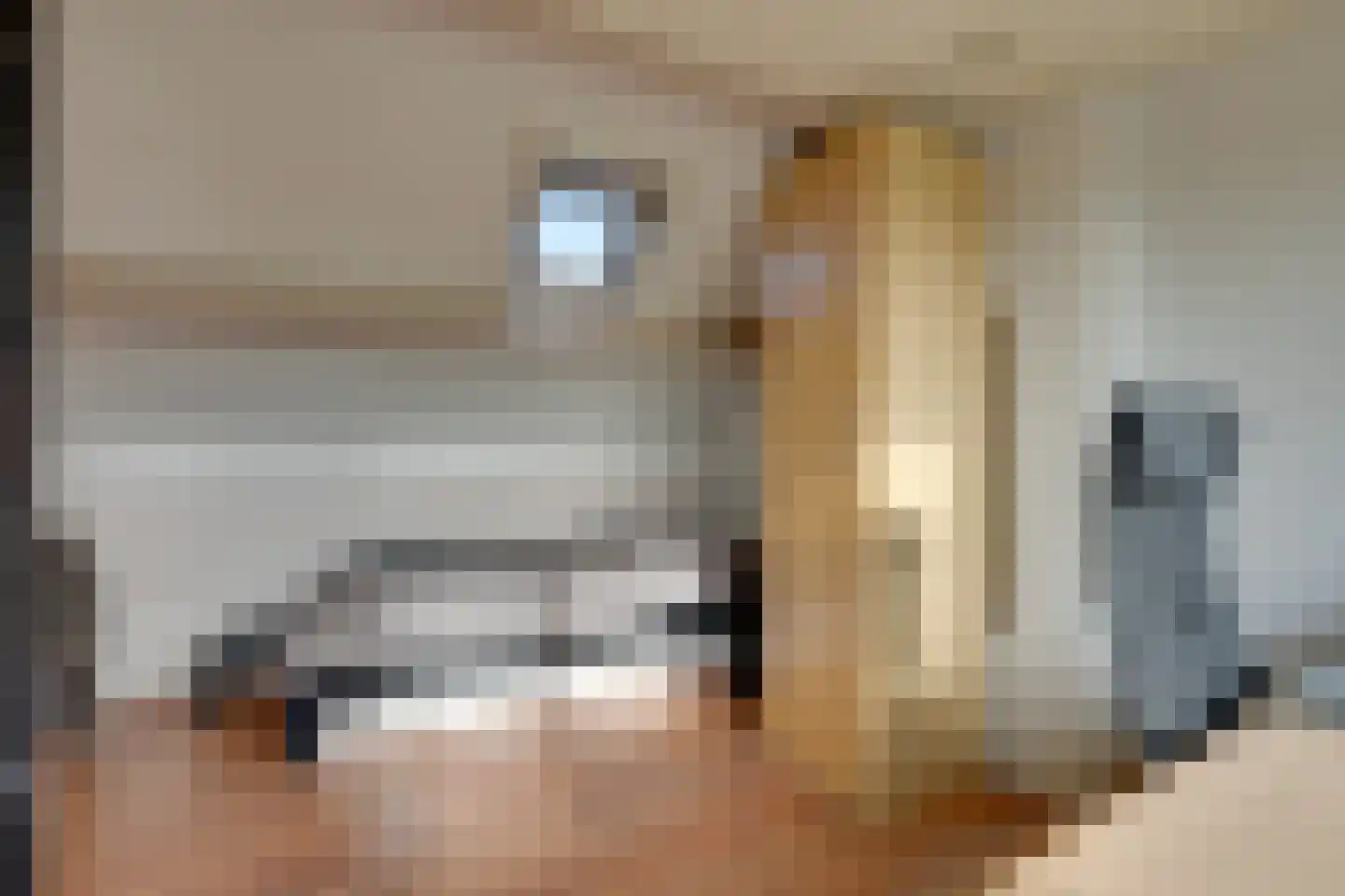 Aggelenstraat 12 De Rijp thumbnail 39
