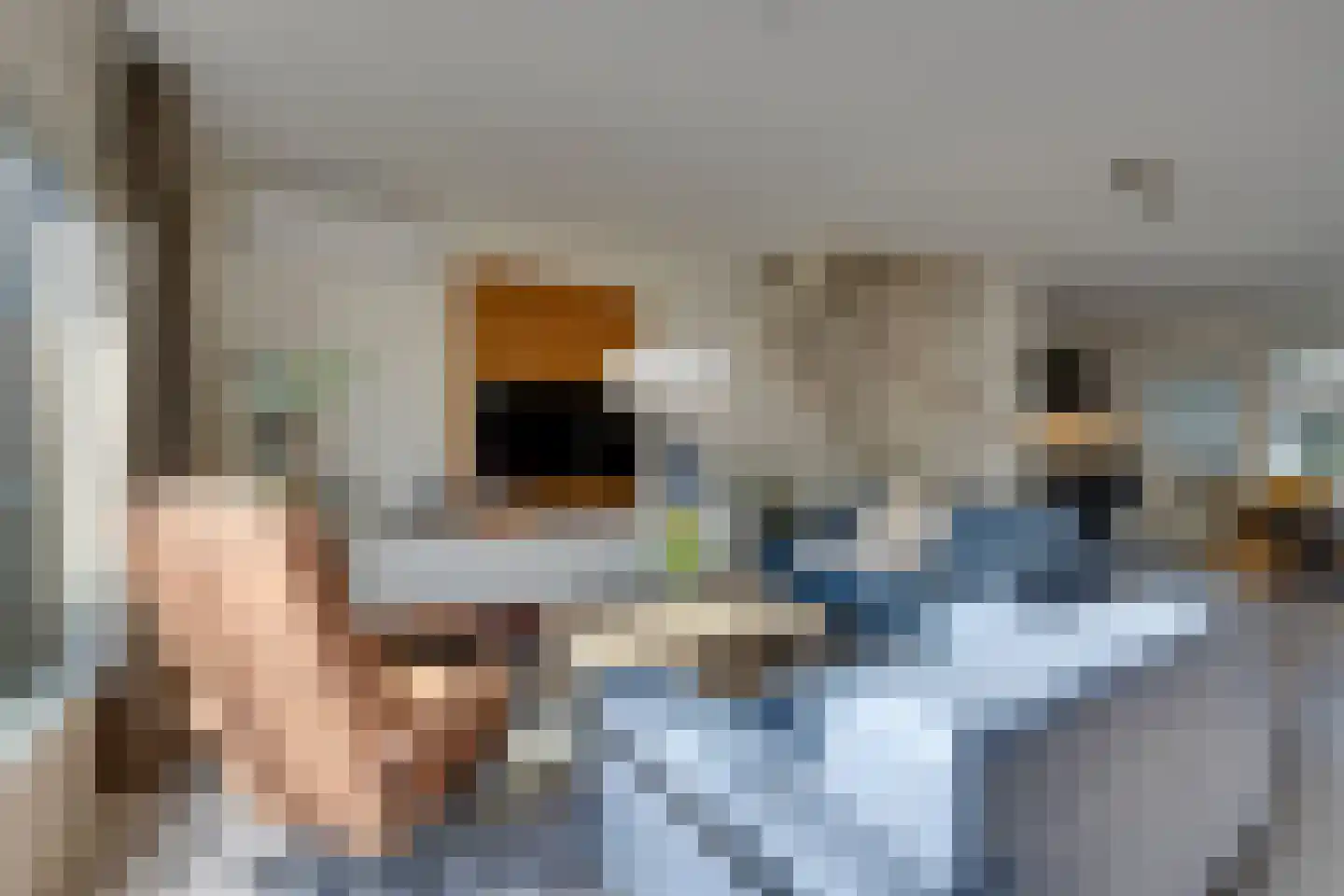 Aggelenstraat 12 De Rijp thumbnail 6