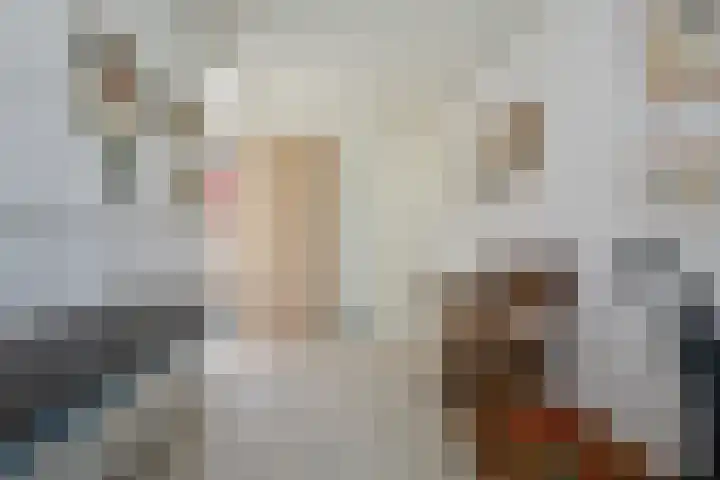 Aggelenstraat 30 De Rijp thumbnail 34