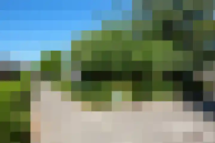 Aggelenstraat 30 De Rijp thumbnail 8