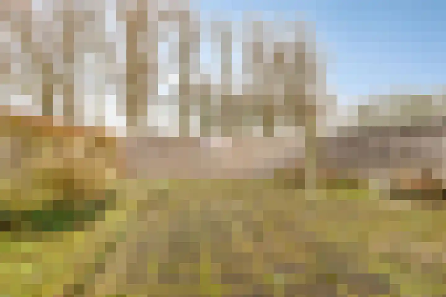 Aggemastate 109 Leeuwarden thumbnail 31