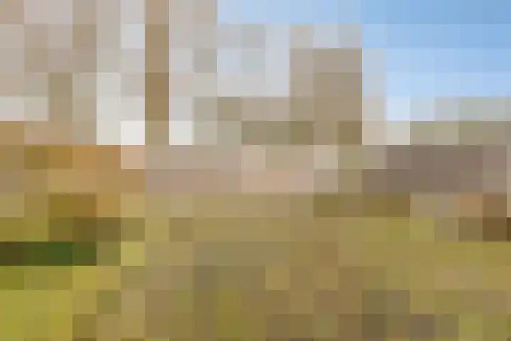 Aggemastate 109 Leeuwarden thumbnail 31