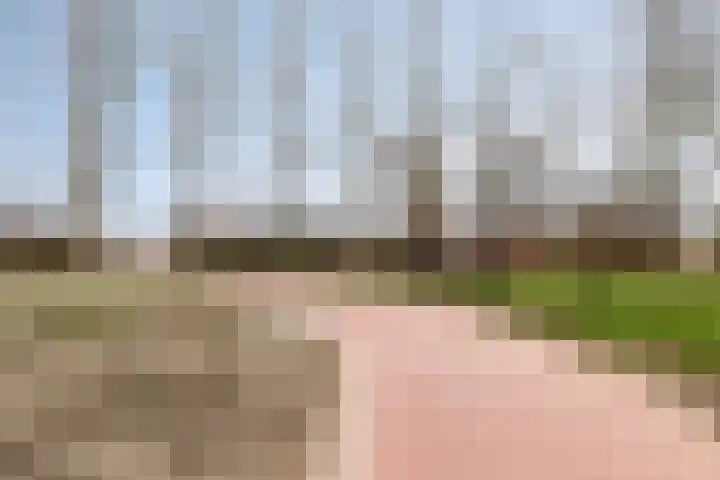 Aggemastate 109 Leeuwarden thumbnail 33