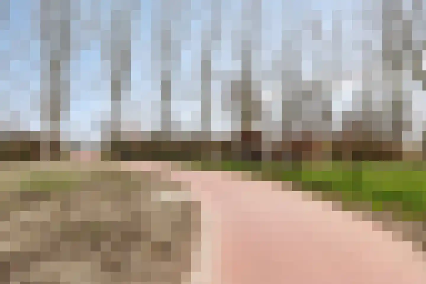 Aggemastate 109 Leeuwarden thumbnail 33