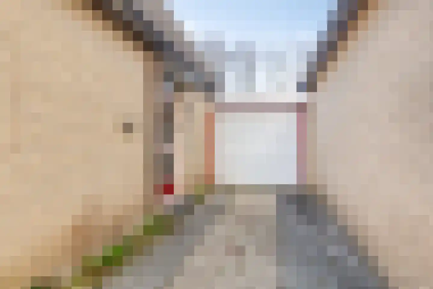 Aggemastate 109 Leeuwarden thumbnail 4