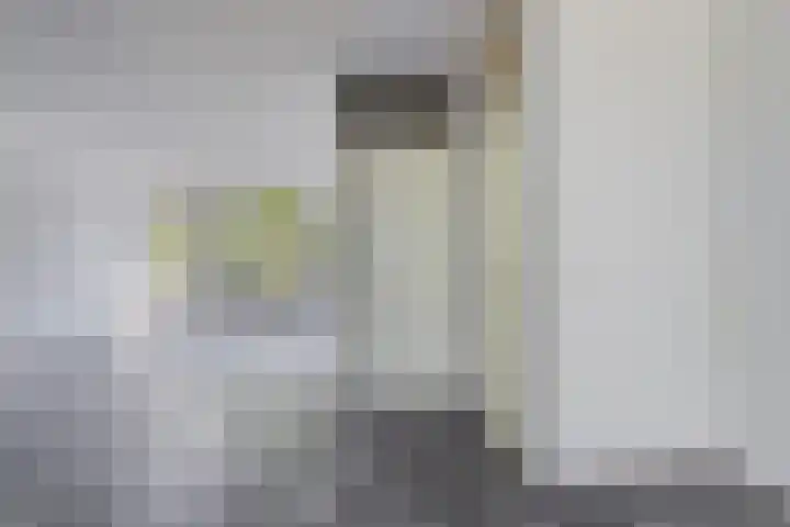 Aggemastate 177 Leeuwarden thumbnail 13