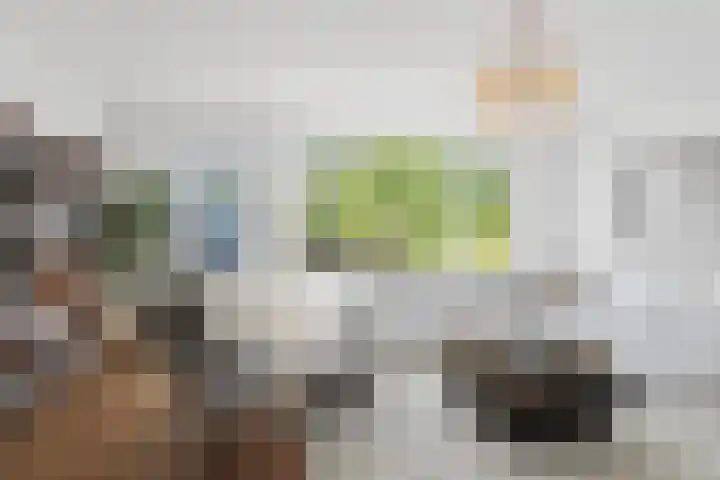 Aggemastate 177 Leeuwarden thumbnail 16