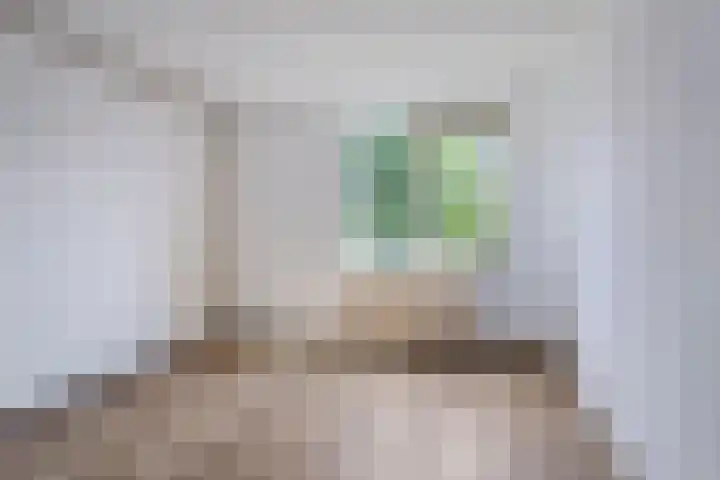 Aggemastate 177 Leeuwarden thumbnail 24