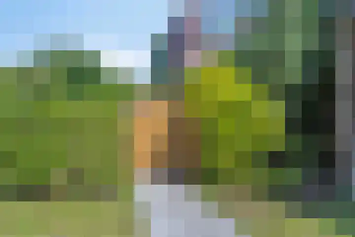 Aggemastate 177 Leeuwarden thumbnail 37