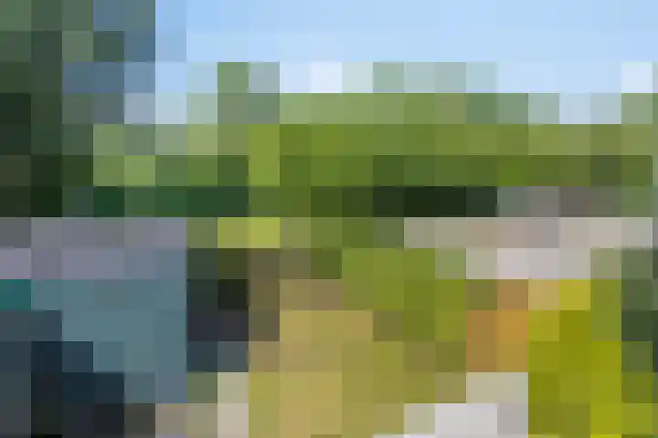 Aggemastate 177 Leeuwarden thumbnail 38
