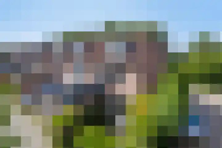 Aggemastate 177 Leeuwarden thumbnail 4