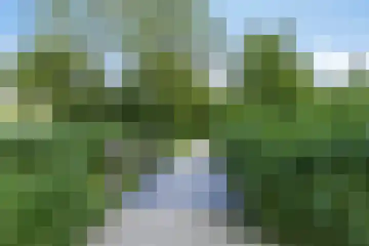 Aggemastate 177 Leeuwarden thumbnail 40