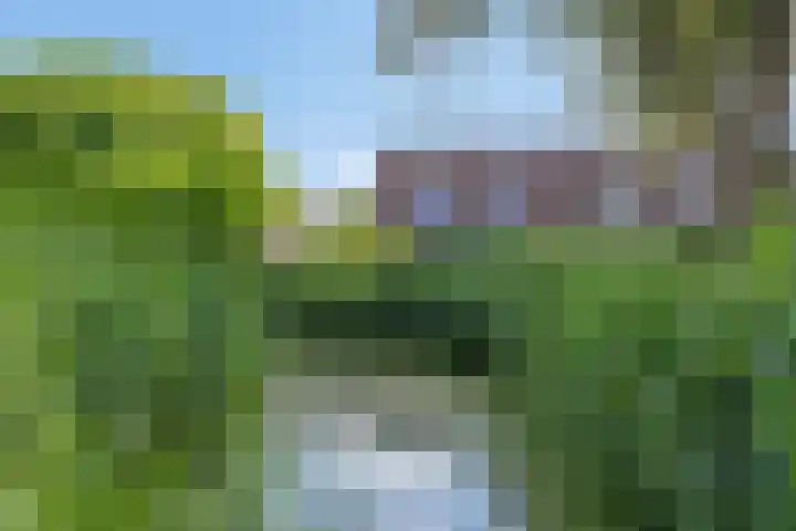Aggemastate 177 Leeuwarden thumbnail 41